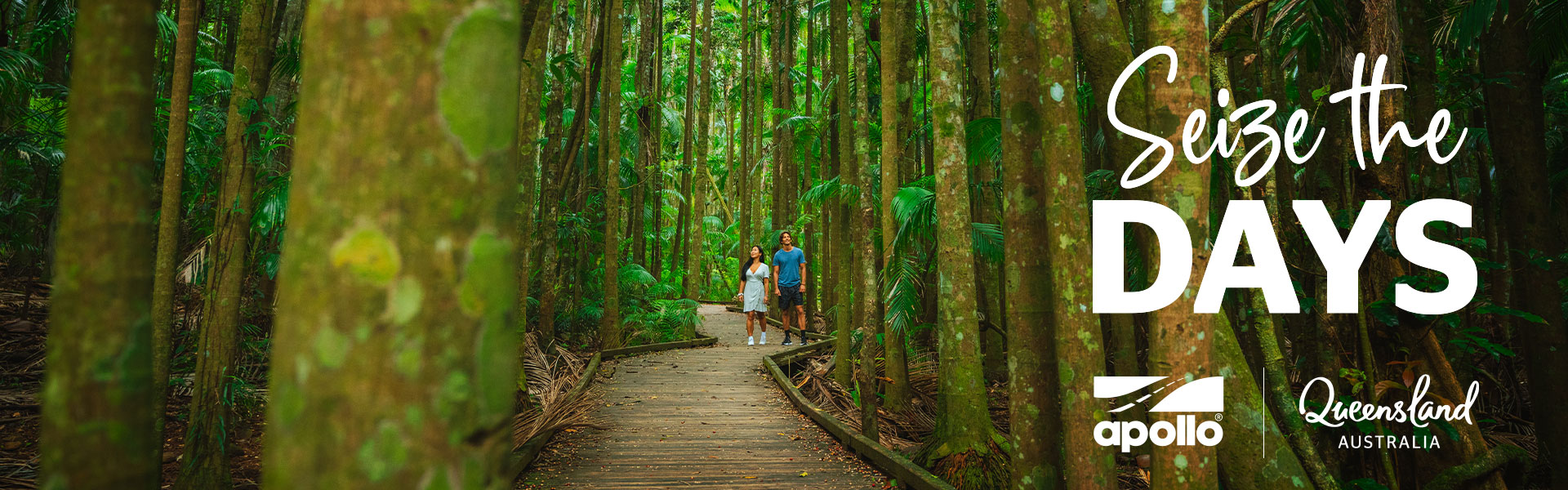 Seize the days - Queensland rainforest
